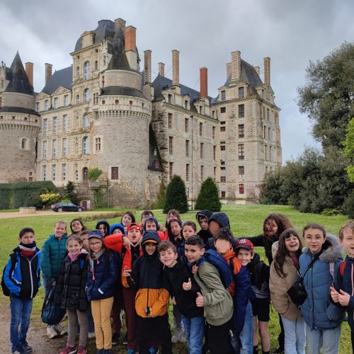 Visite des Châteaux de la Loire