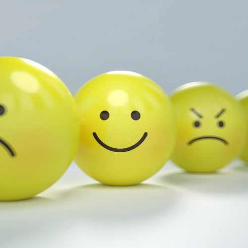 HABILETES SOCIALES DISPOSITIF ULIS